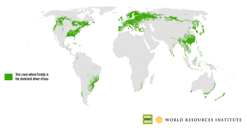 forestry high resolution world map