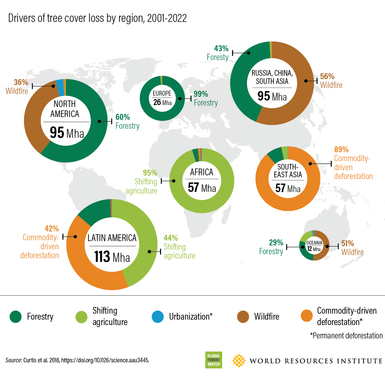 Forest Loss | Global Forest Review